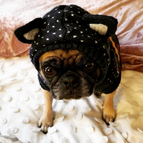 Meet your Poshers, Jessica & Penelope - Picture 3 of 5